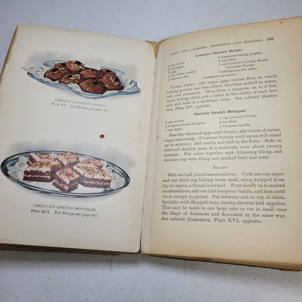 Lowneys Cook Book‎ Antique 1907 Maria Willett Howard Green Recipes